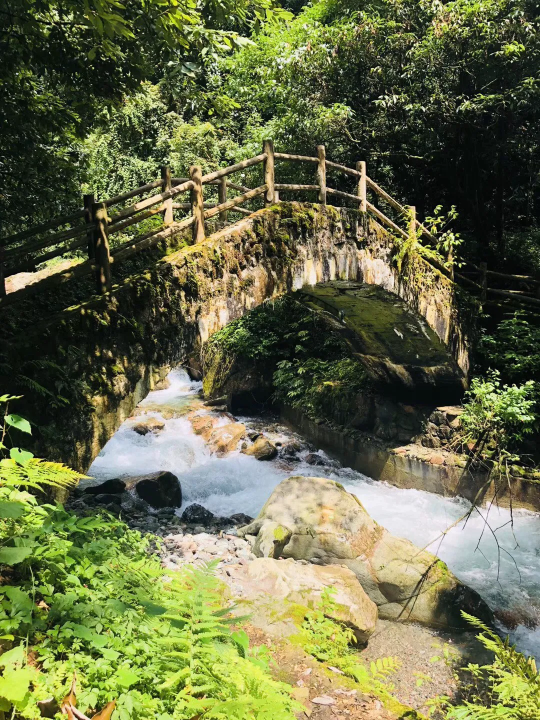 白色森林逃脱